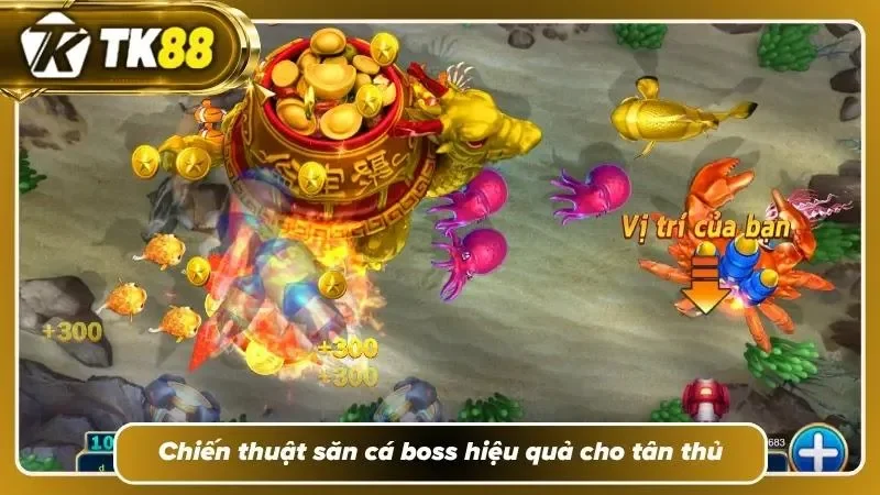 Làm chủ chiến thuật săn cá để gia tăng cơ hội nhận thưởng